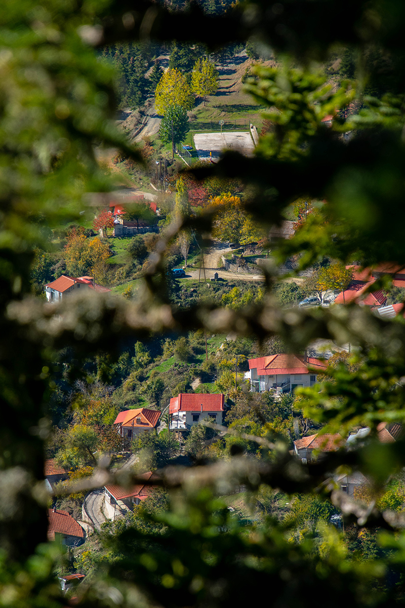 DSC_2802
