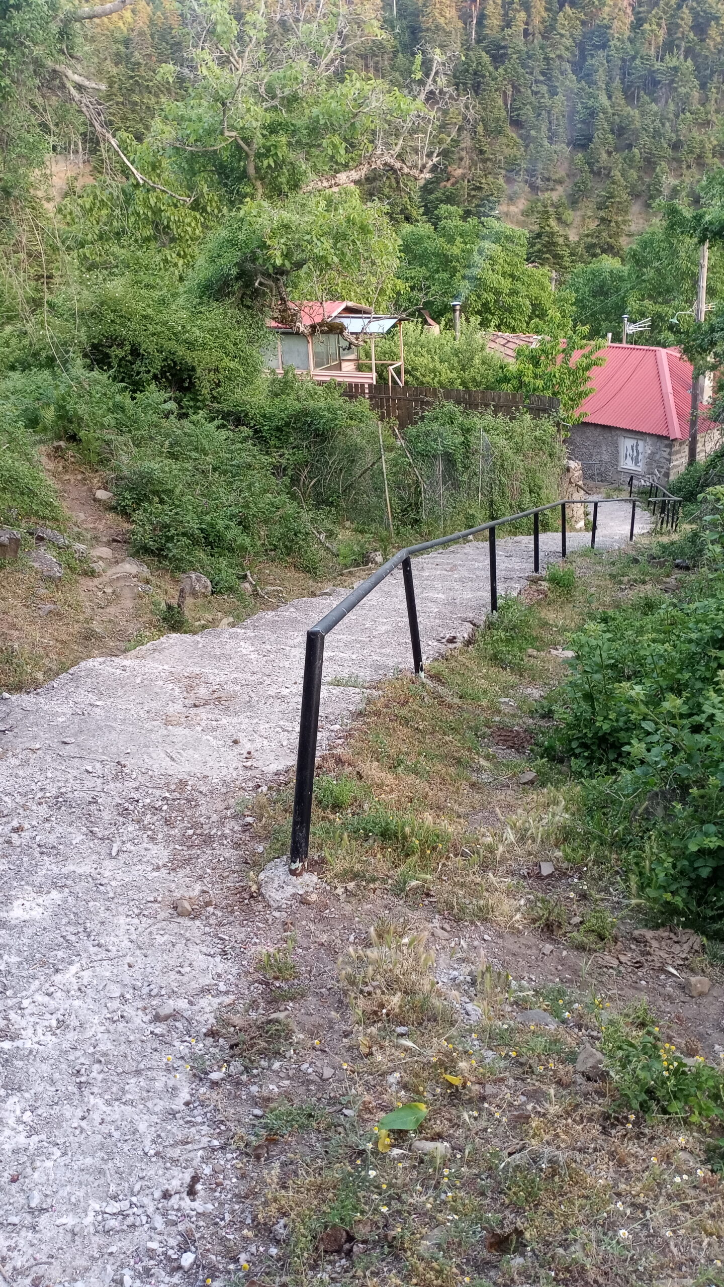 IMG-b193132dbf072934ab09d9e35fbfbcbc-V