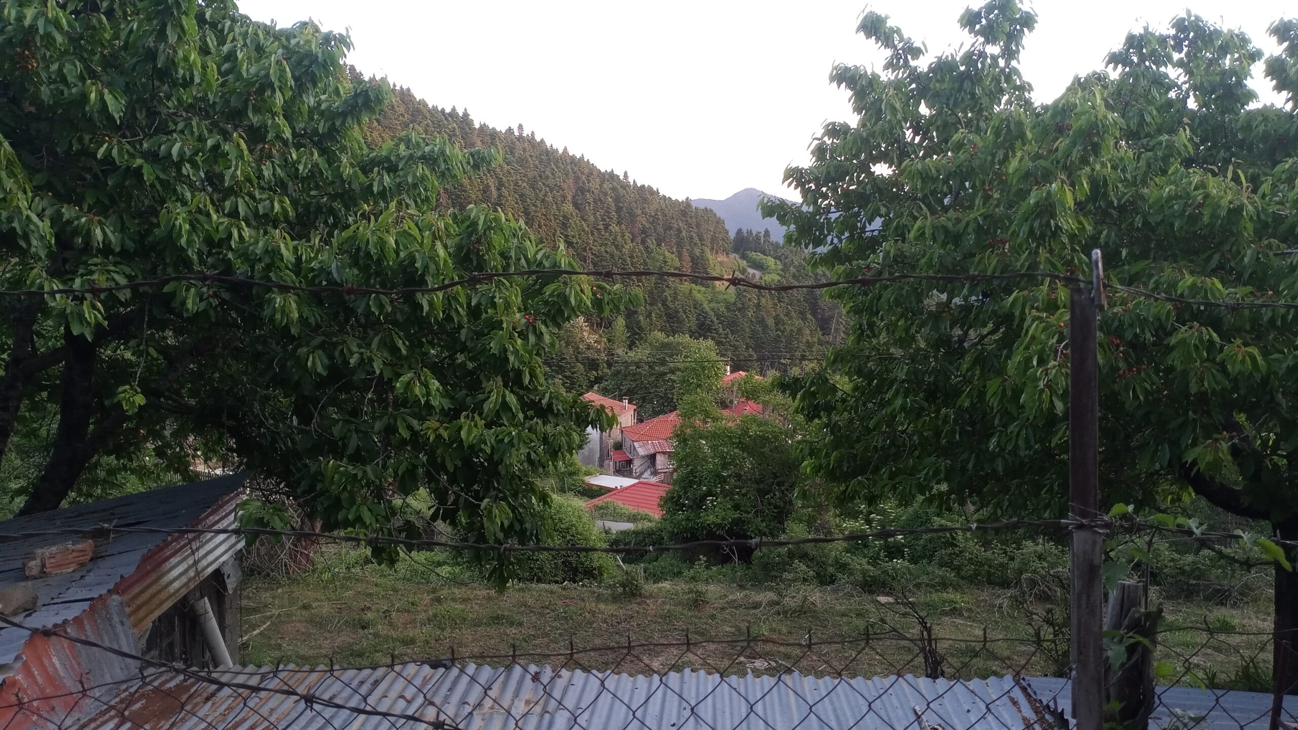 IMG-b4954c09c3816906dd1e50f87ff135ad-V