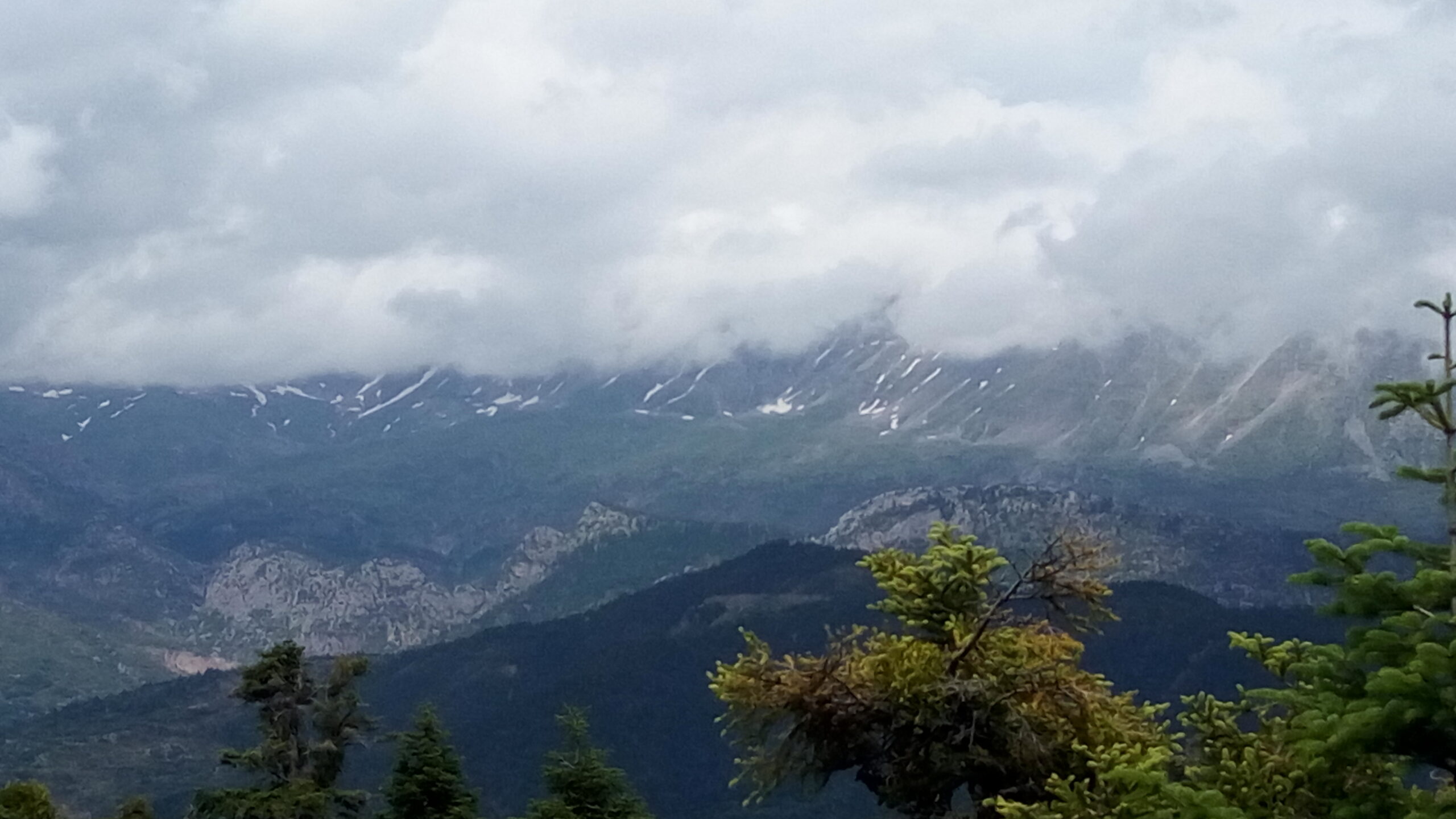 IMG_20190603_152127