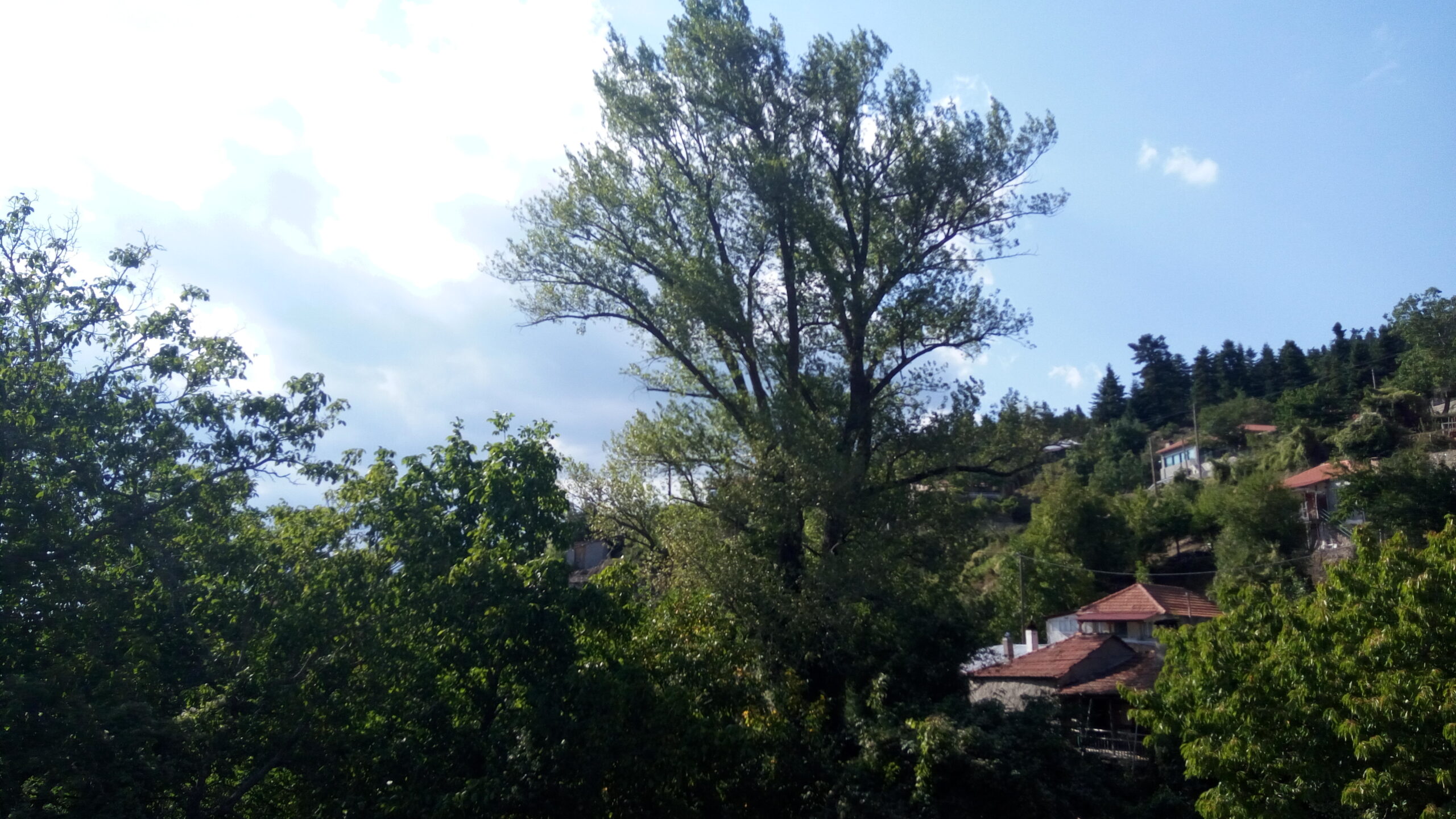 IMG_20190901_164421