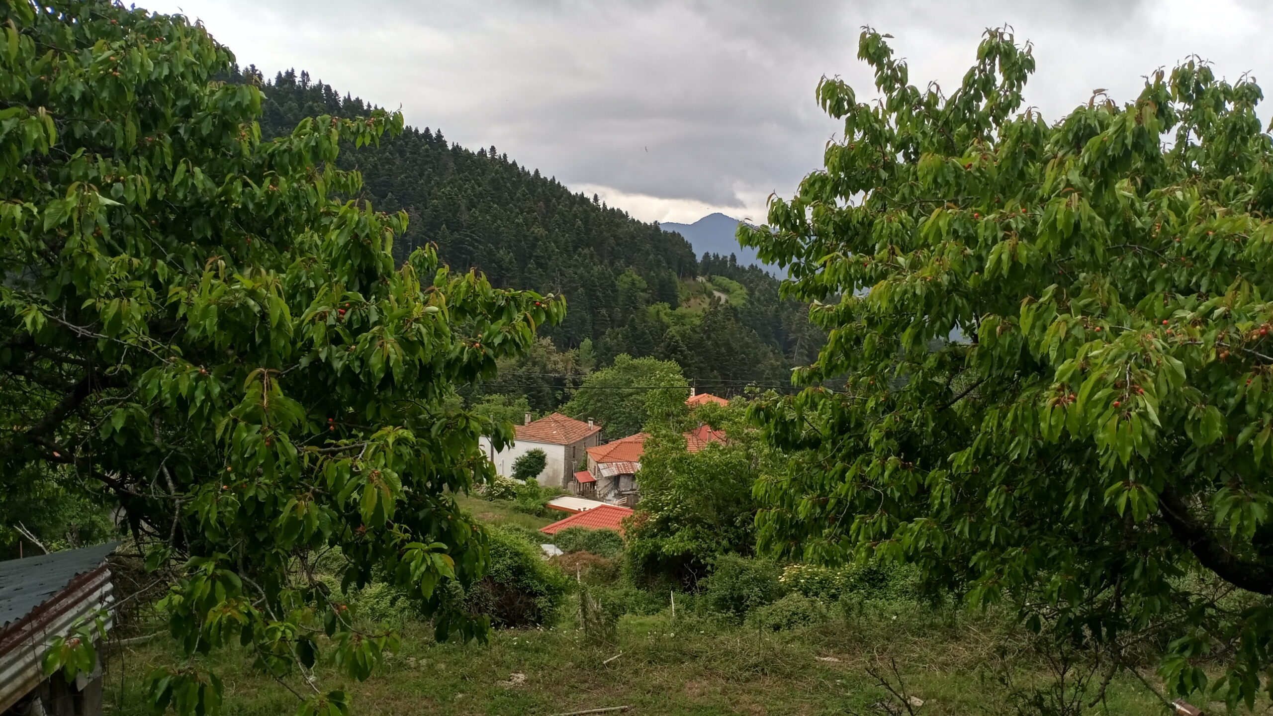 IMG_20200606_191315