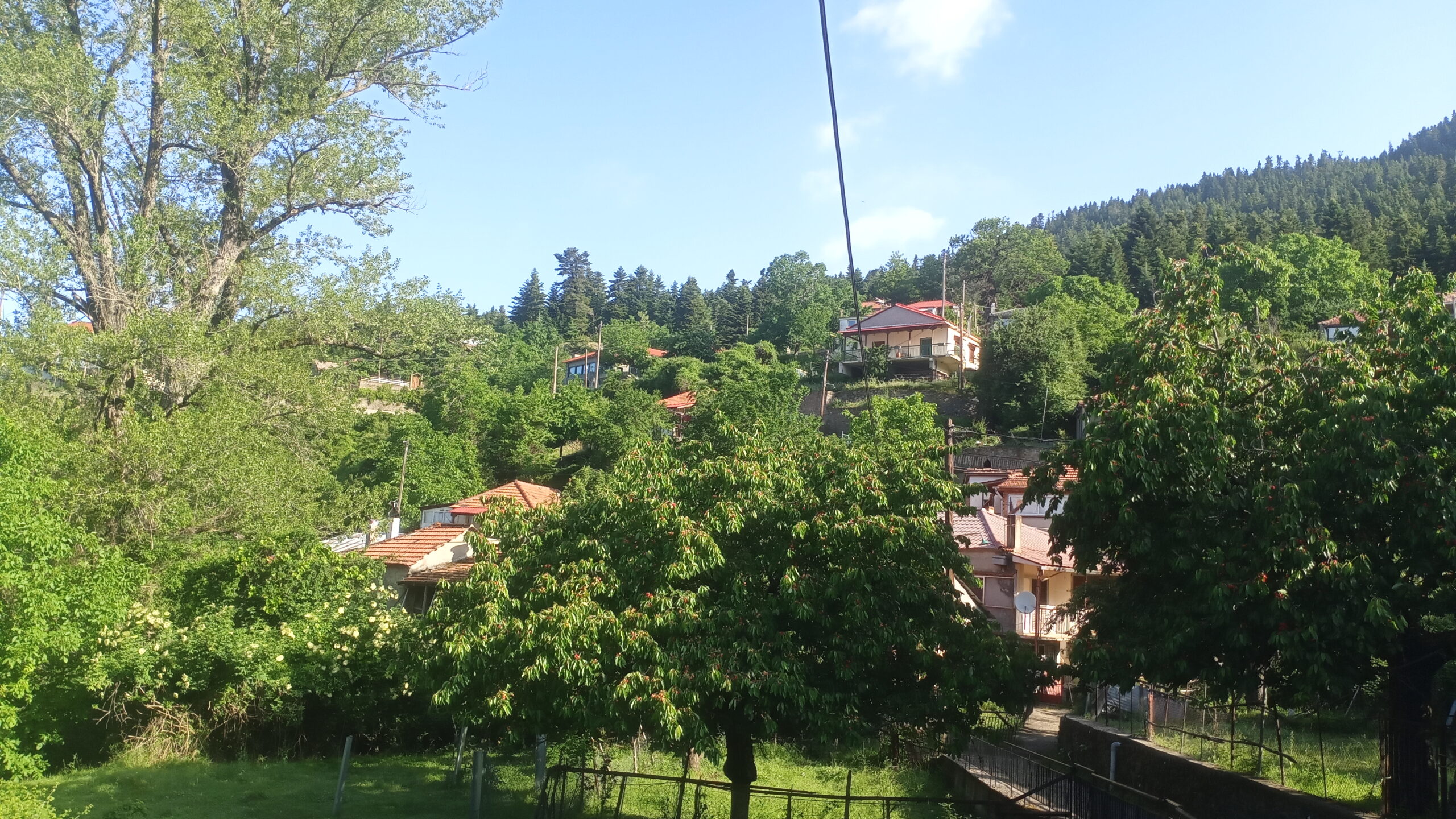 IMG_20220608_084206