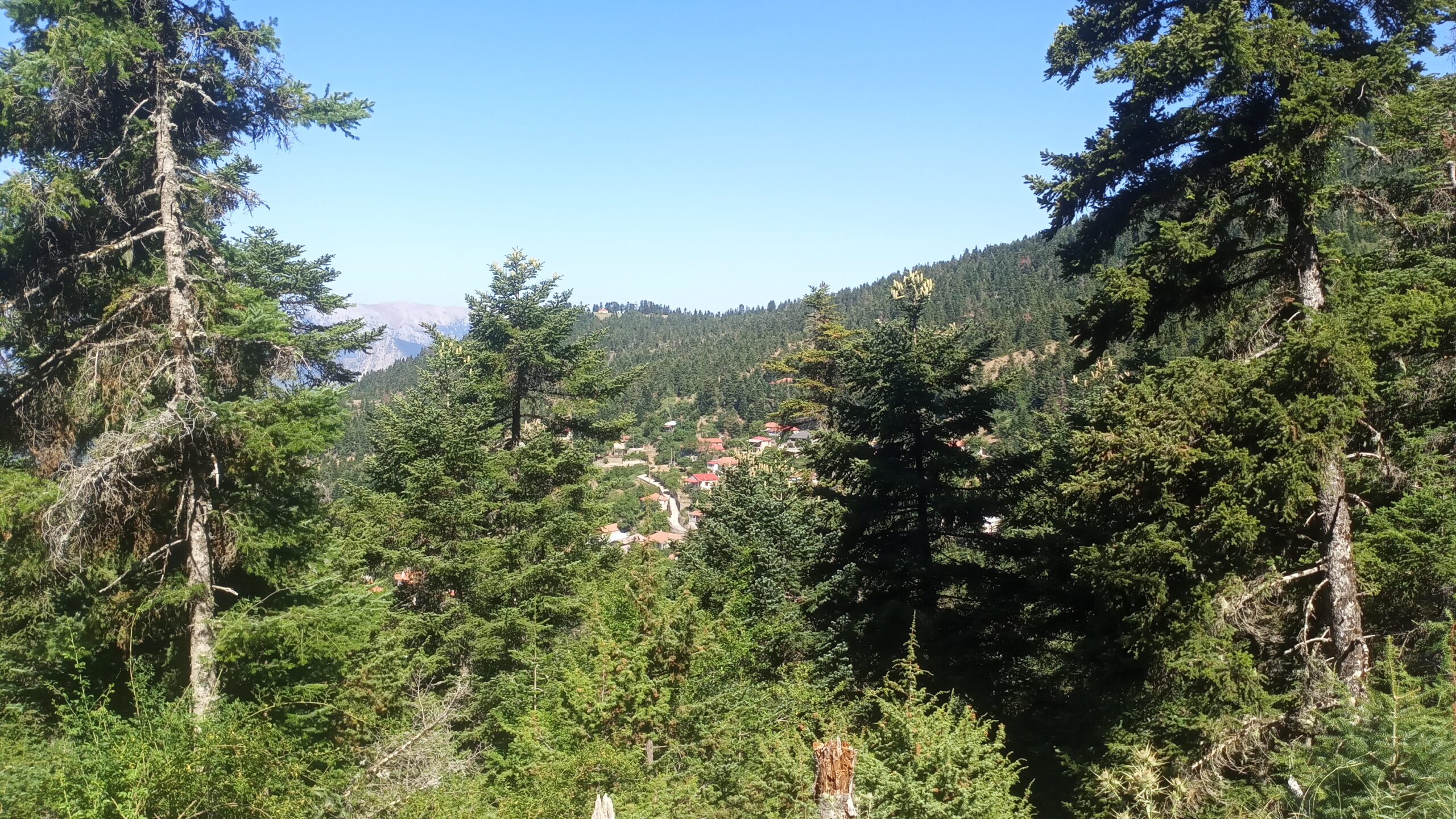 IMG_20220728_104909