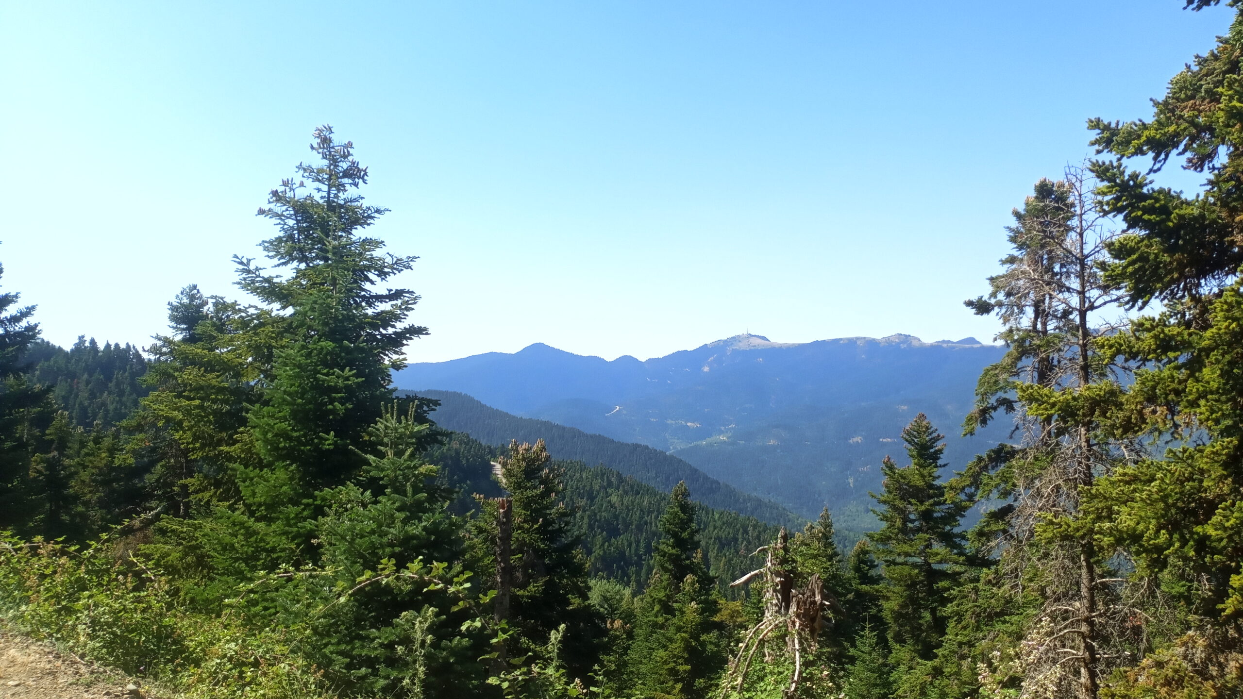 IMG_20220728_110816
