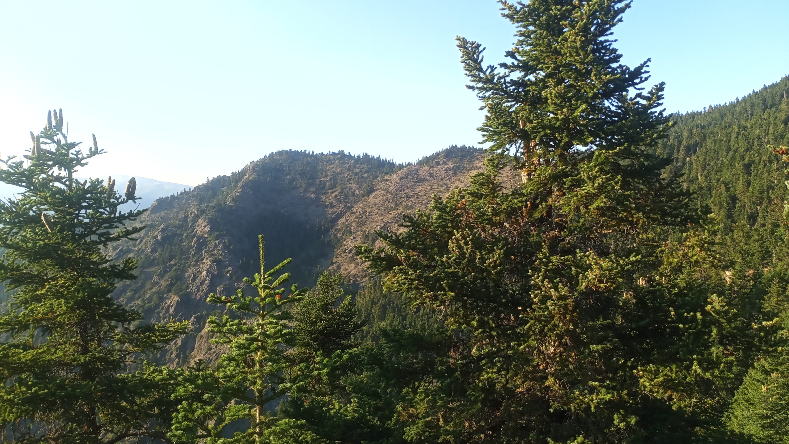 IMG_20220729_193412