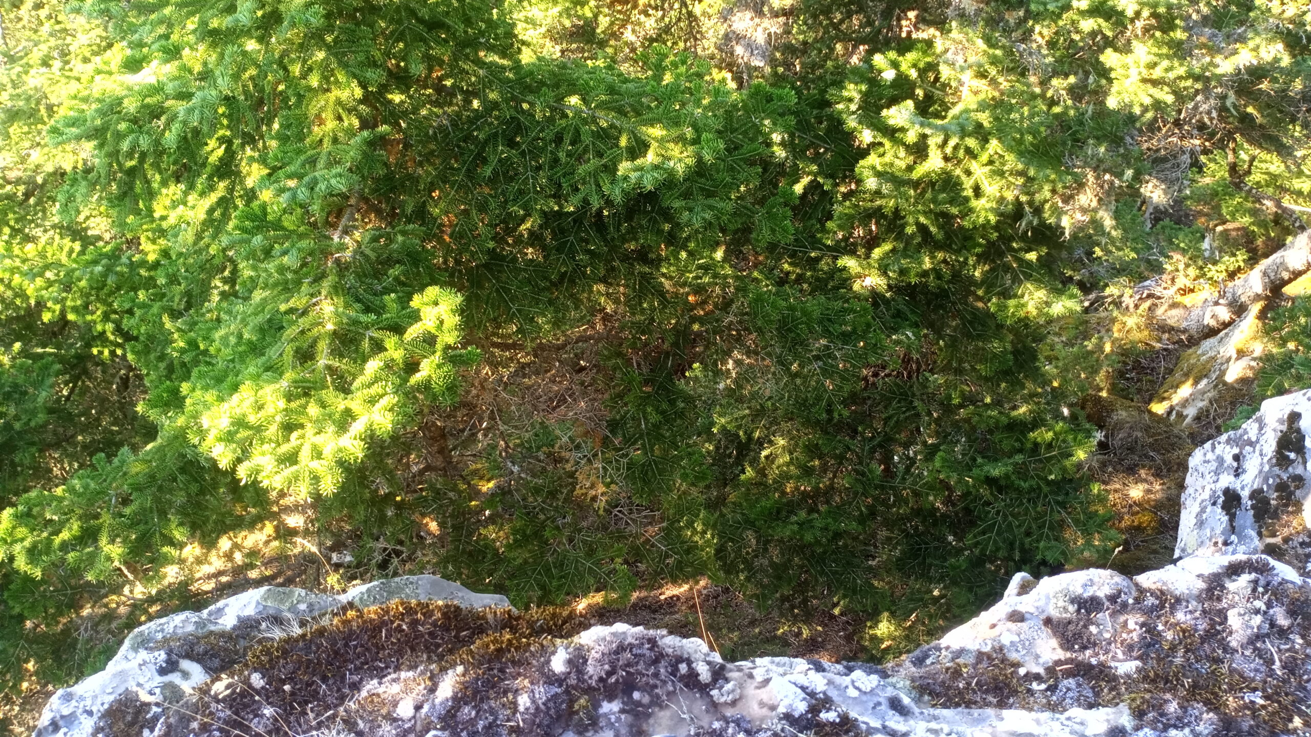 IMG_20220729_193425