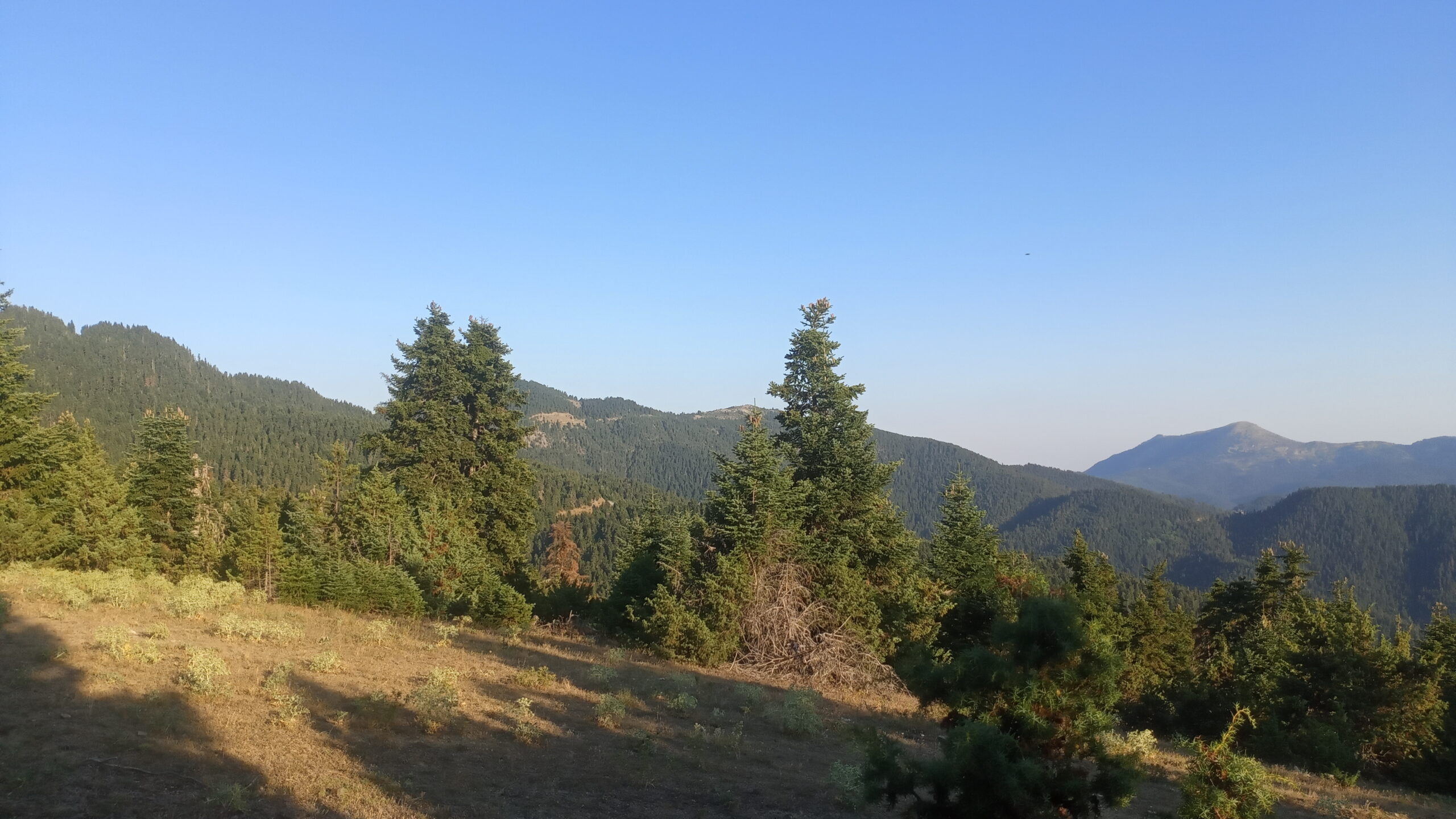 IMG_20220729_193547