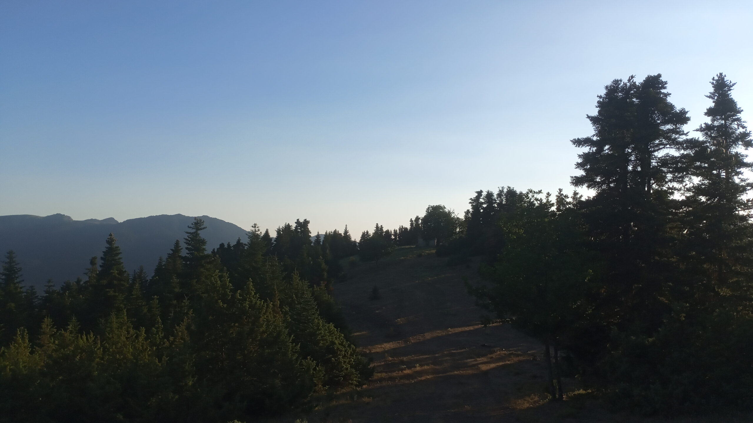 IMG_20220729_193608