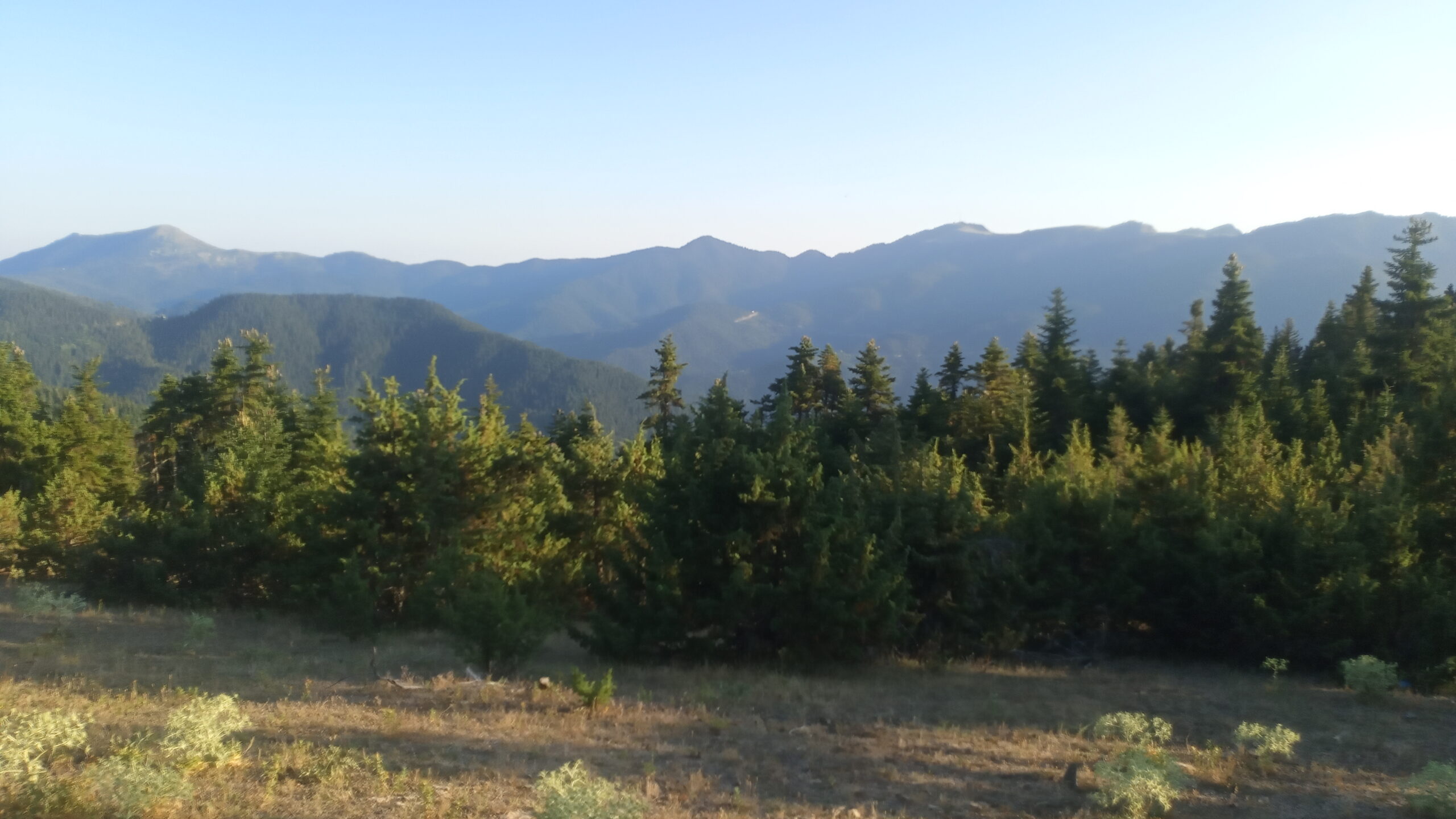 IMG_20220729_193613