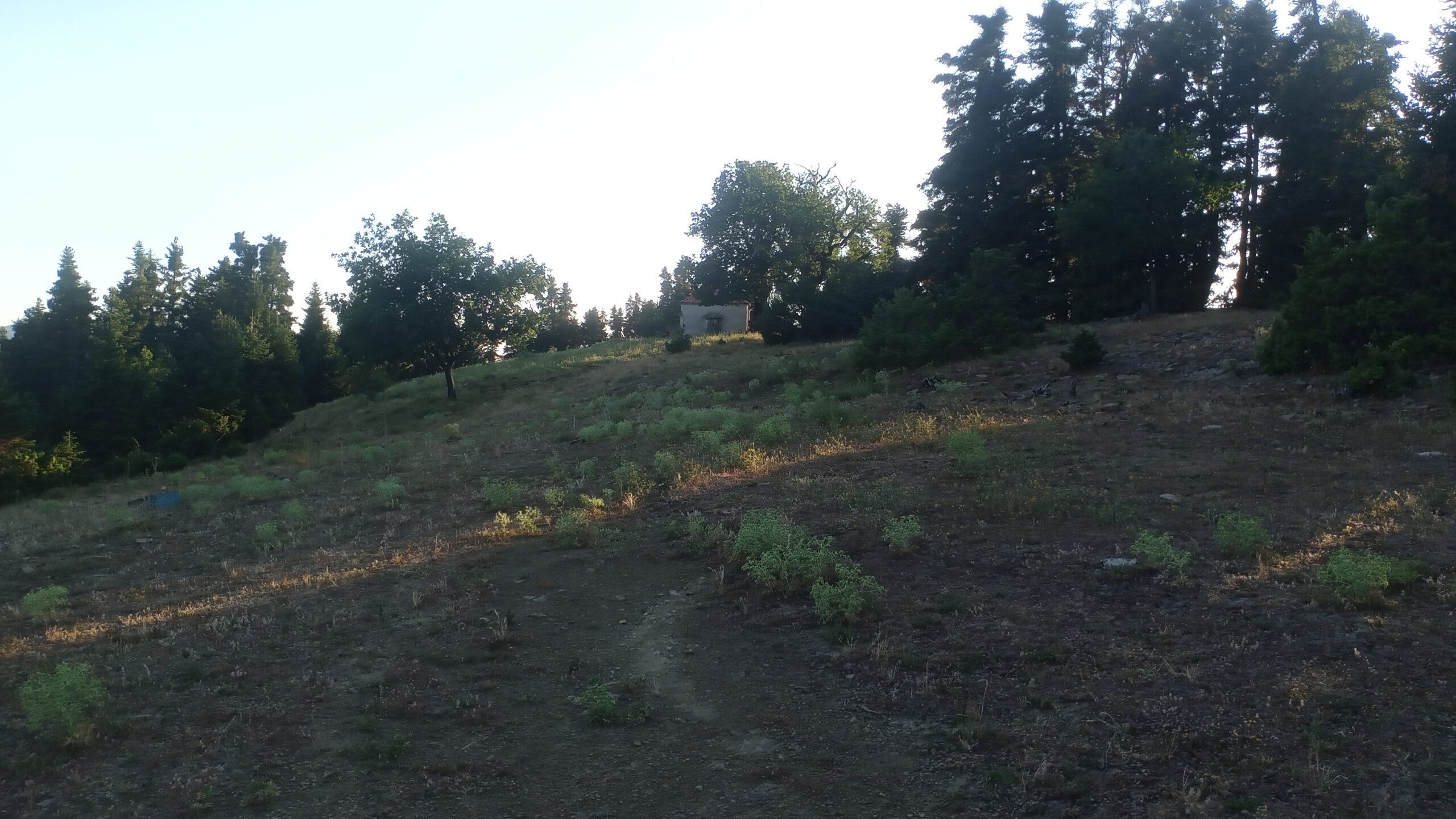 IMG_20220729_193757