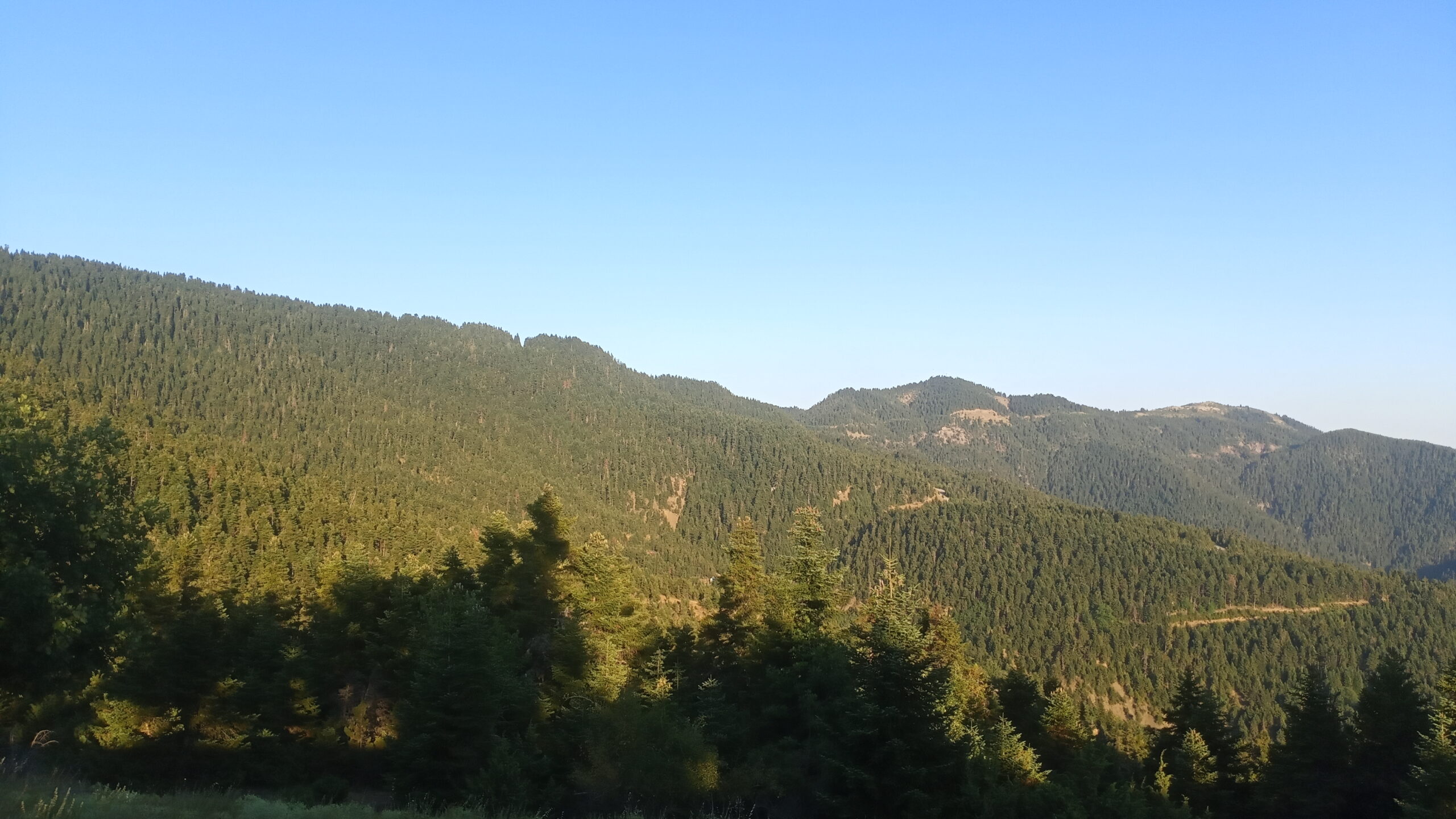 IMG_20220729_194208
