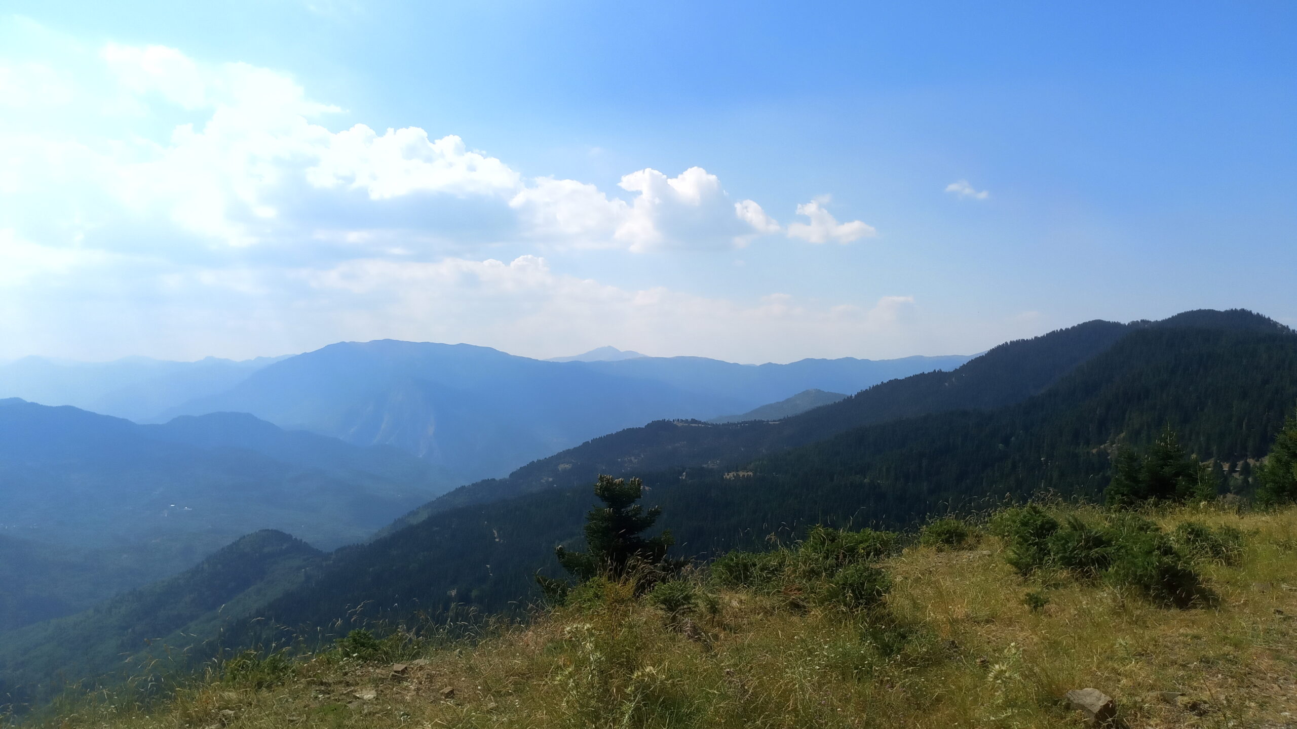 IMG_20220802_162518