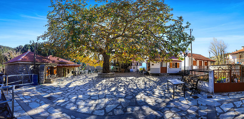 IMG_6448-Pano