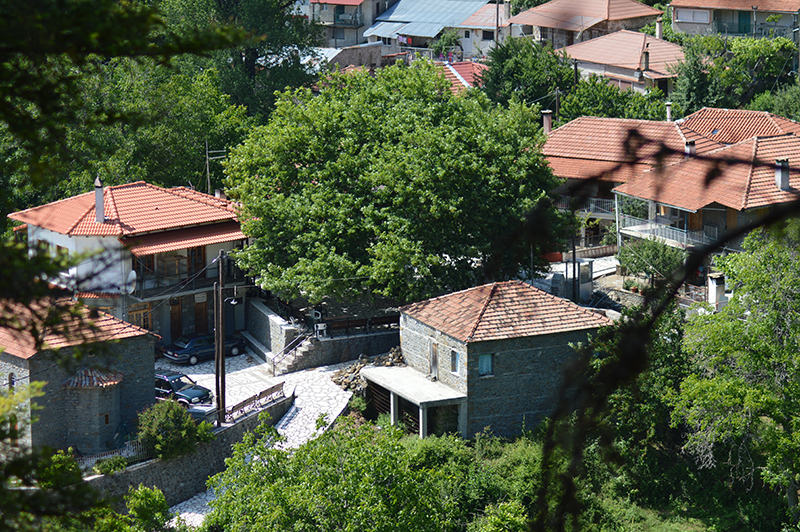 NIKON_D320012829