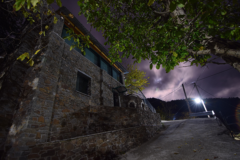 NIKON_D530016298