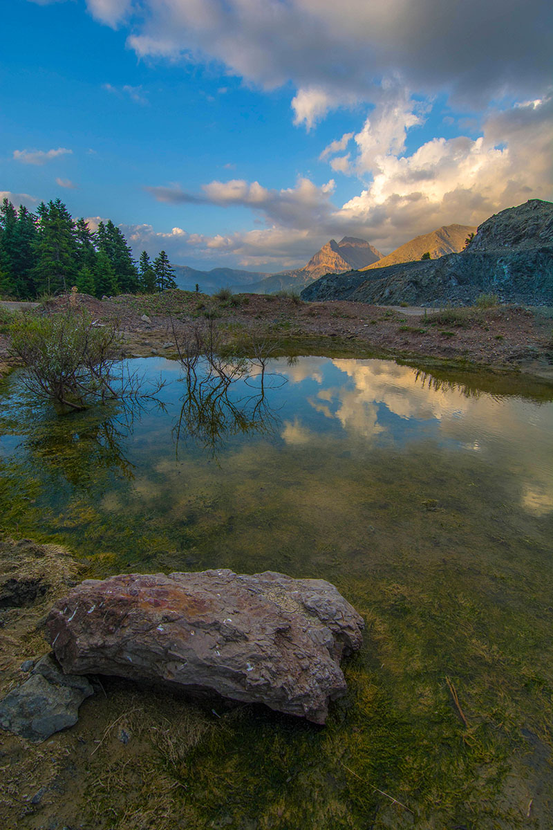 NIKON_D710018166