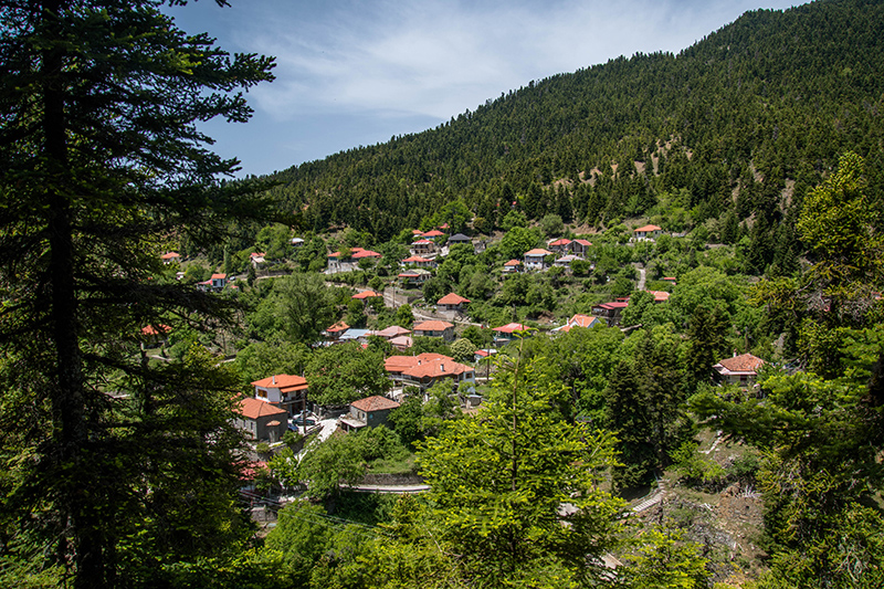 NIKON_D750020200