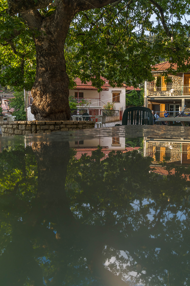 NIKON_D750021741